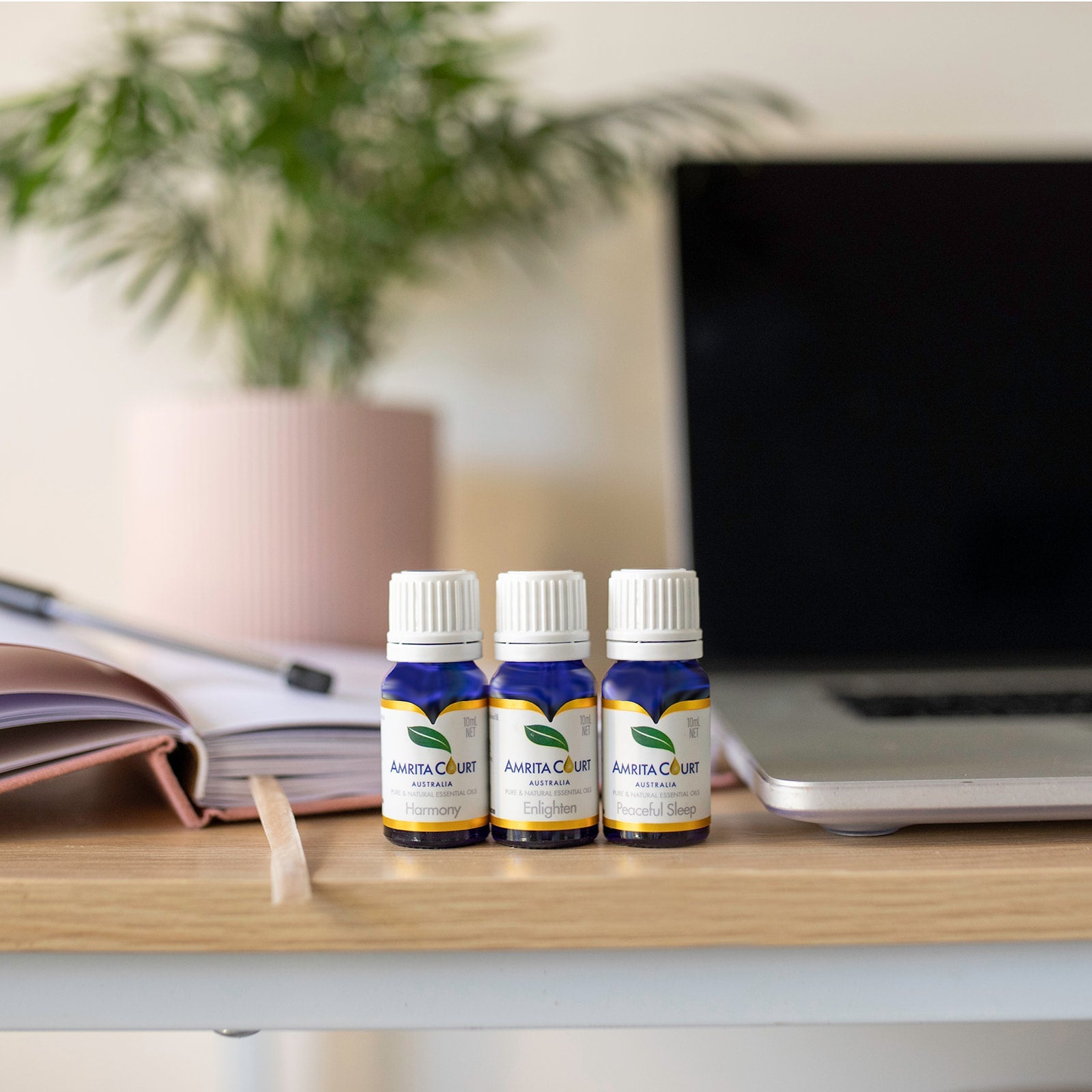 11% OFF | Total Control – Career & Life Ritual Bundle | Energy, Calm, Sleep