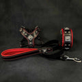 Dog Lead, Collar & Harness Set