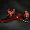 Dog Lead, Collar & Harness Set