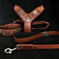 Dog Lead, Collar & Harness Set